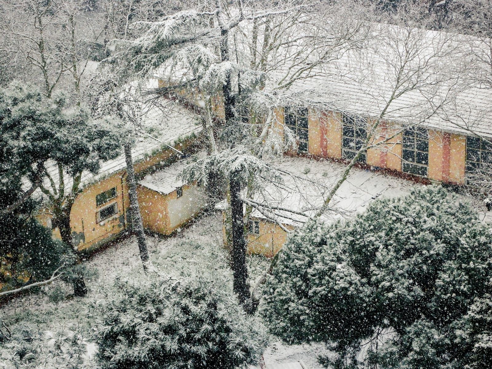 suburban home blanketed in snow for storm damage documentation